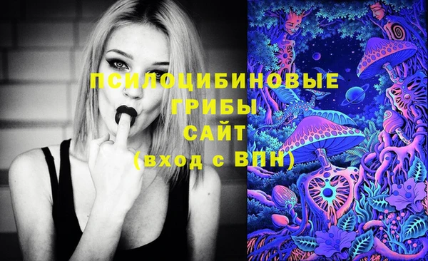 ALPHA-PVP Алексеевка
