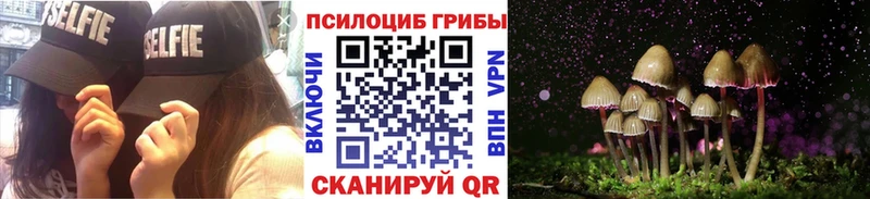 Псилоцибиновые грибы Psilocybine cubensis  Купить где  Тетюши 